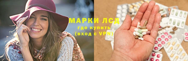 стаф Корсаков