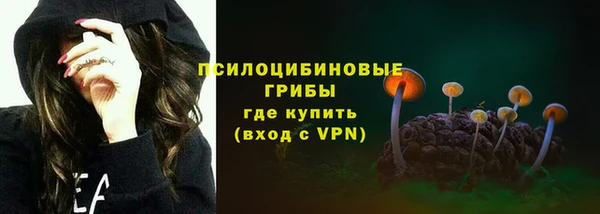 твердый Костерёво