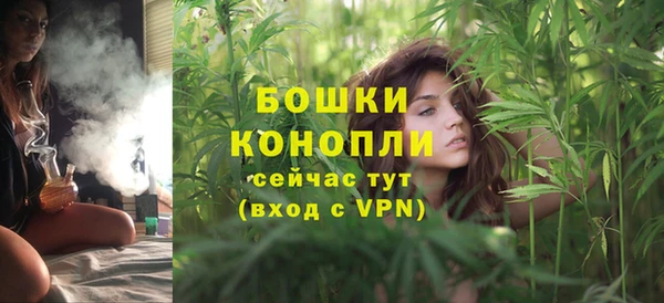 стаф Корсаков
