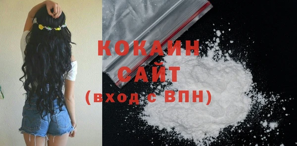стаф Корсаков