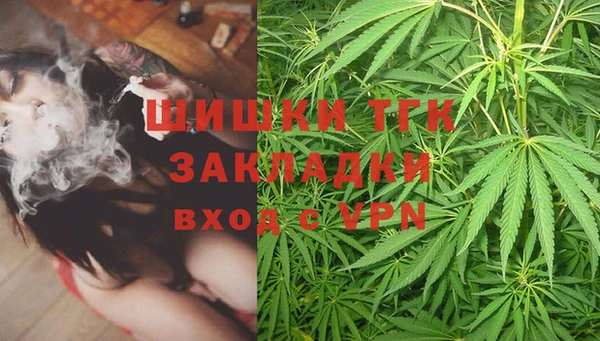 стаф Корсаков
